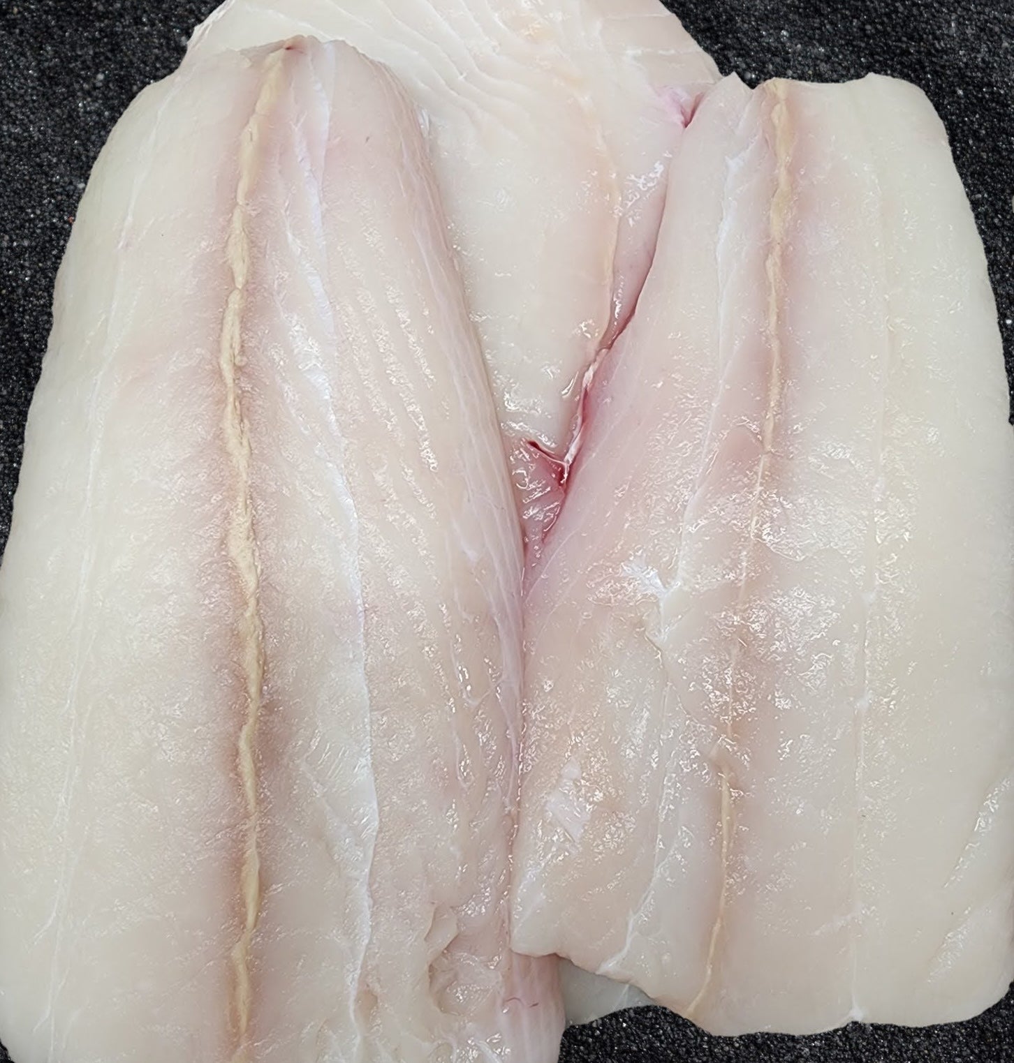 Halibut