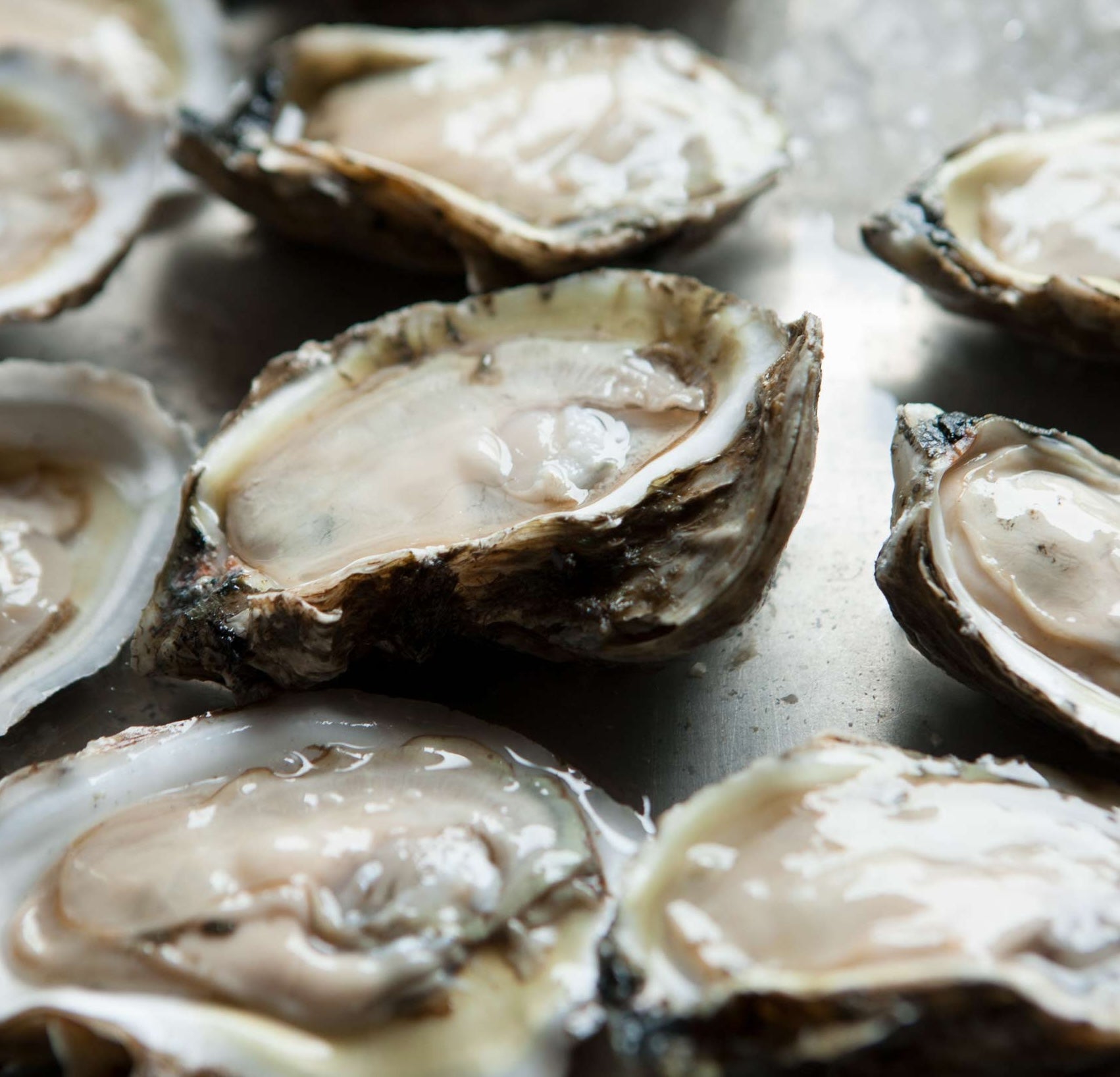 Bama Oysters