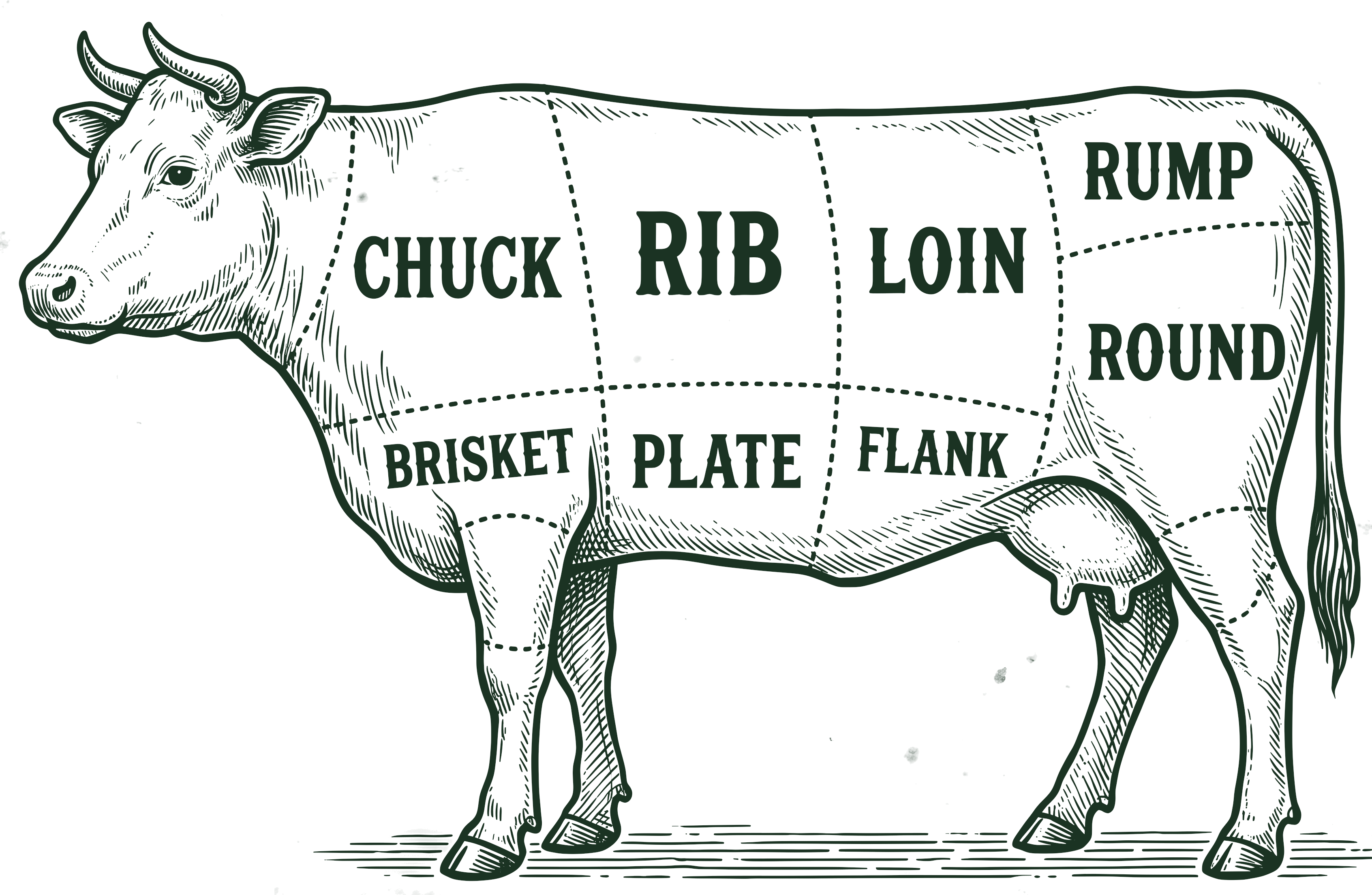 Grass Fed Half Cow — Deposit