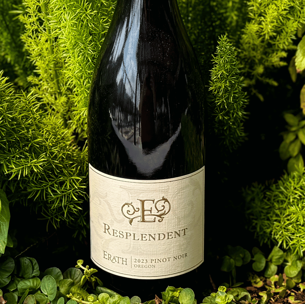 Erath Resplendent Pinot Noir 2019 750 ml