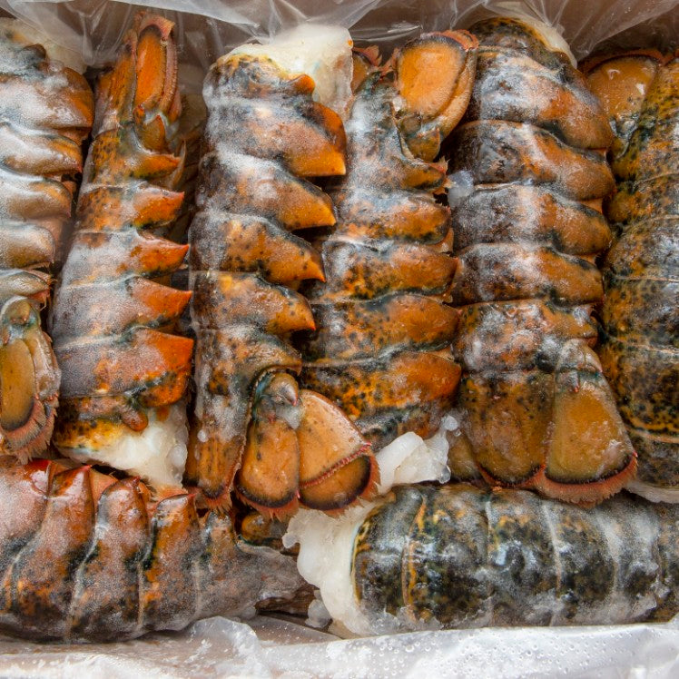 Lobster Tail 5/6 OUNCES