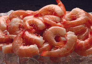 Key West Pink Shrimp