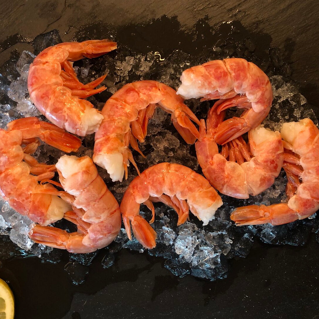 Royal Red Shrimp – Vice Kitchen