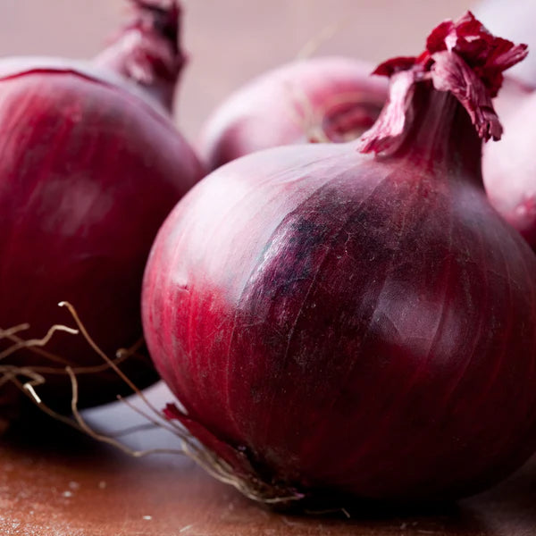Red Onions Jumbo Premium