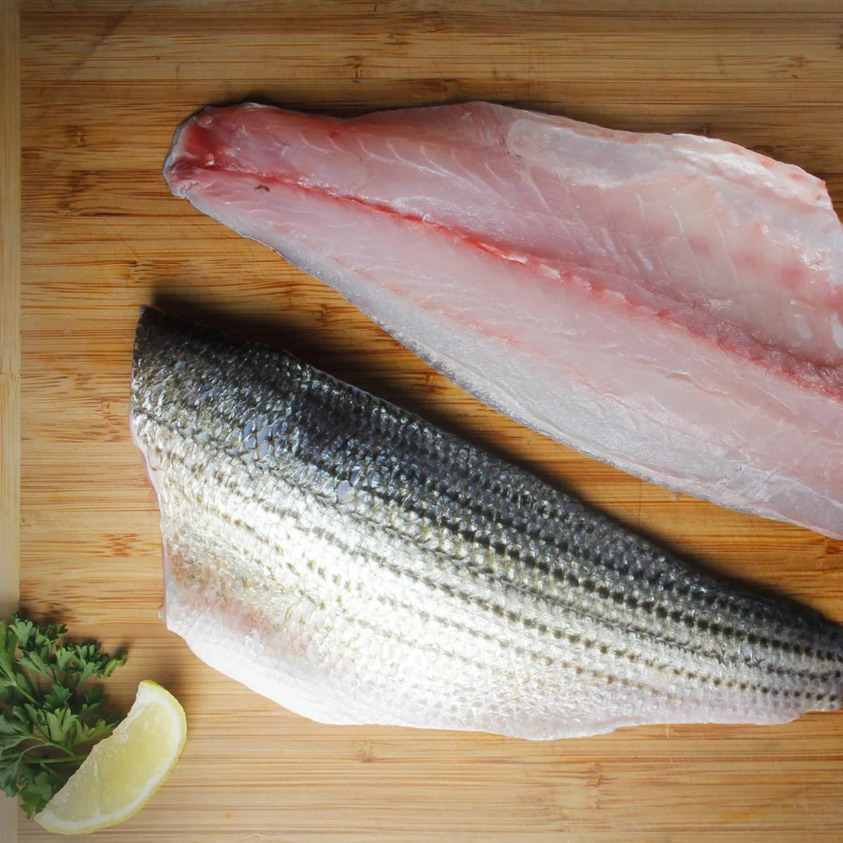 Striped Bass